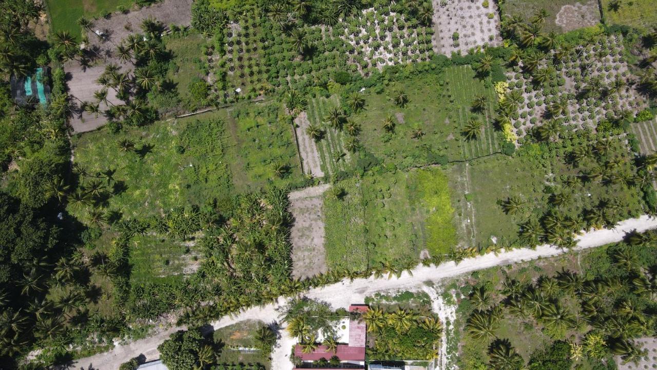 Thila Farm View Hotel Thoddoo Exterior photo